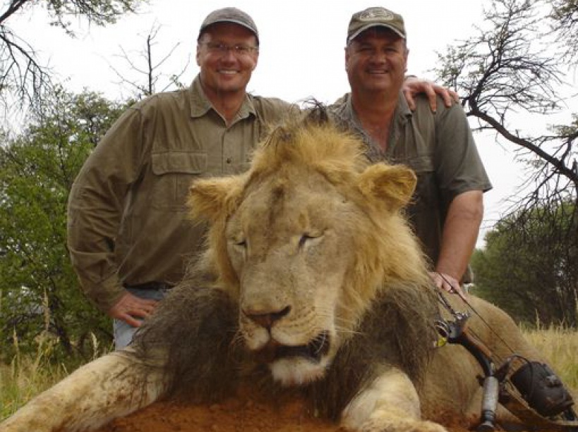 Photo de Walter Palmer et Theo Bronkhorst à droite devant le corps sans vie de Cecil, le lion zimbabwéen vedette du parc national local.